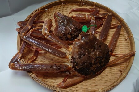 間人漁港仲買人の丸友鮮魚三代目・自慢の間人ガニ【活】生・訳アリ・間人ガニ（ズワイガニ　松葉ガニ）[400～600g×4匹]