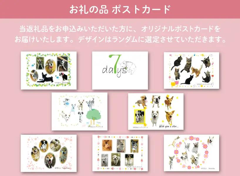 犬猫保護活動への支援 10万円