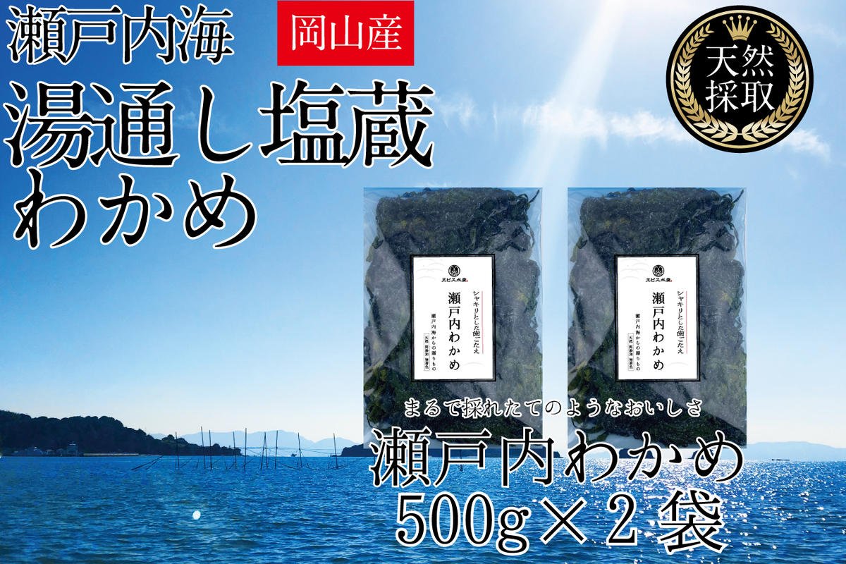 湯通し塩蔵 瀬戸内 わかめ 500g×2袋【岡山 瀬戸内海 天然 塩蔵】