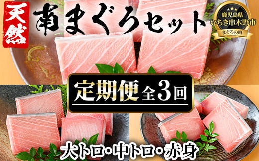 【3か月定期便】極上天然南まぐろ贅沢コース まぐろ マグロ 大トロ 中トロ 赤身 冷凍 小分け【00-041-07-TK】