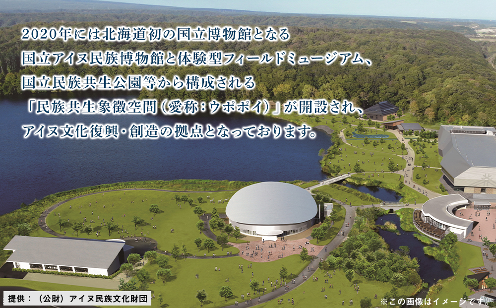 北海道 白老町☆応援寄付金☆100,000円【返礼品なし】【QQ007】