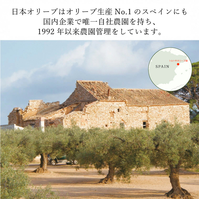 オリーブオイル ミニギフト セット オリーブ オイル 油 オリーブ油 食用油 調味料 詰め合わせ ギフト 贈り物