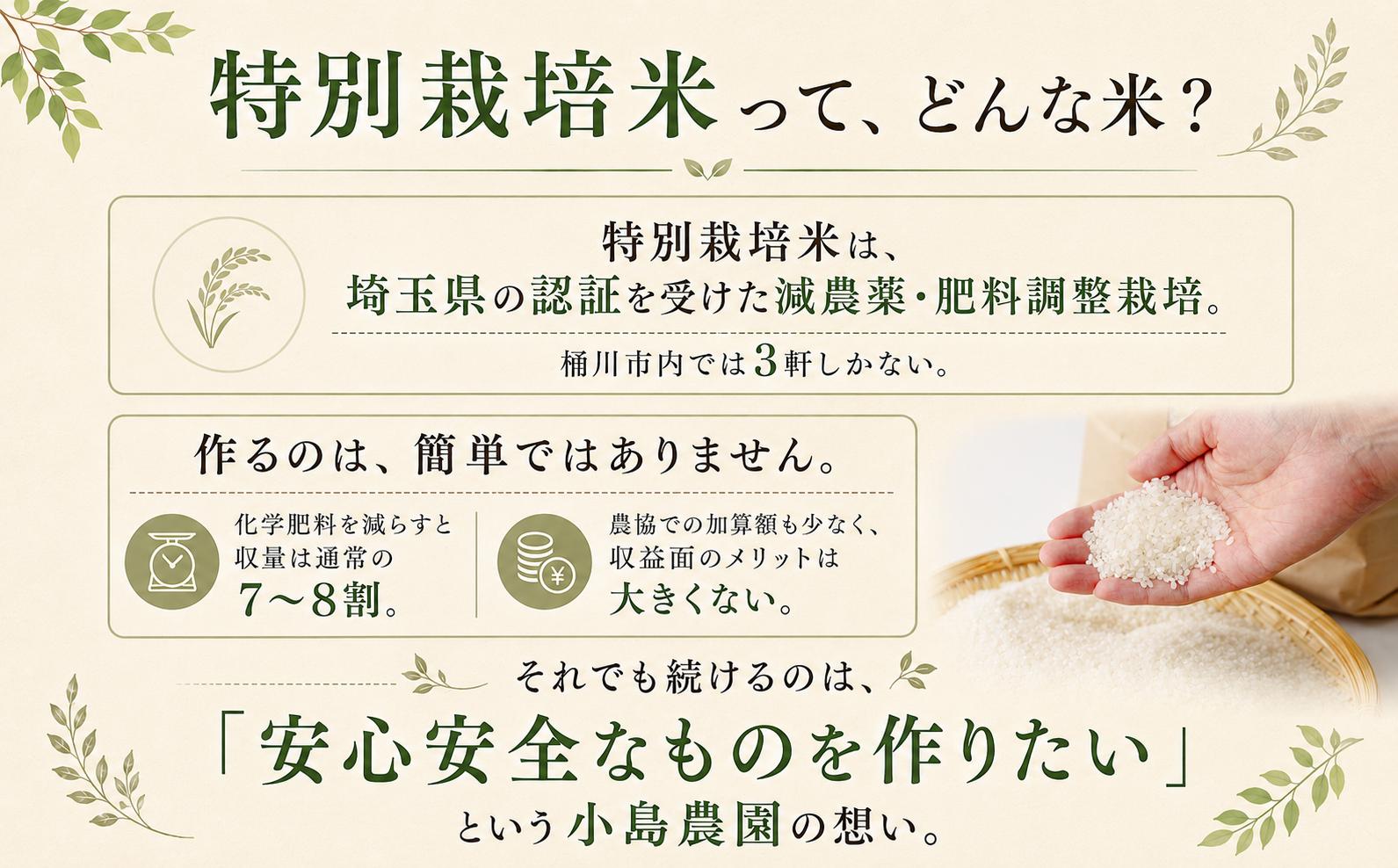小島農園の桶川市産・特別栽培米のコシヒカリ。井戸水で育てたお米です。