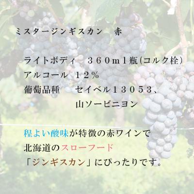 ふるさと納税 乙部町 【乙部醸造ワイン　赤・白+ミスタ―ジンギスカン　ハーフボトル4本セット】北海道産　360ml×4本 |  | 03