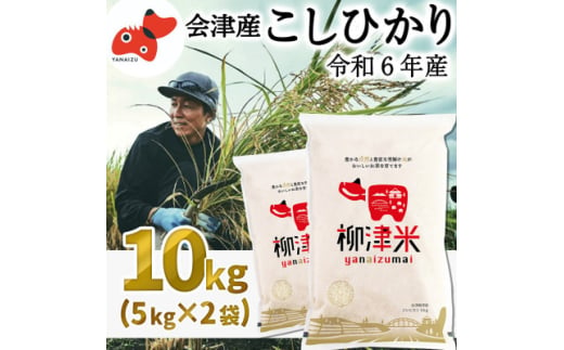 ＜令和6年産＞福島県柳津町産「こしひかり」10kg〈12月下旬発送予定〉【1560635】