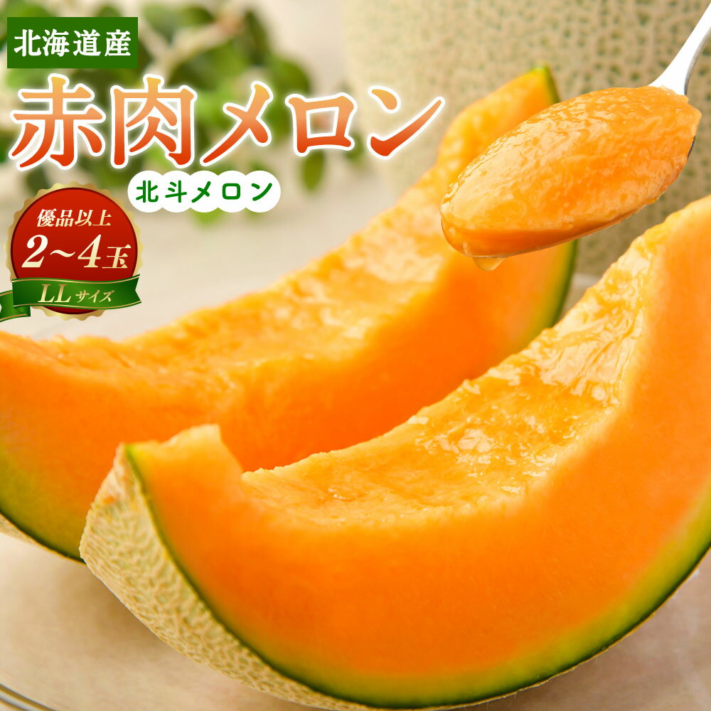 【ふるさと納税】＜先行予約＞ 北海道産 赤肉メロン 北斗メロン 優品以上 LLサイズ 2玉～4玉 合計約4～8kg フルーツ メロン 果物 【2026年6月下旬～7月下旬順次発送予定】