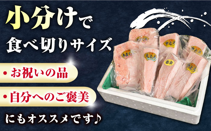 【全2回定期便】対馬産 本マグロ 4種 計1kg（赤身/中トロ/大トロ/ネギトロ）《対馬市》【対海】 新鮮 マグロ 鮪 本鮪 赤身 中トロ 大トロ ネギトロ 海鮮 冷凍 [WAH030]