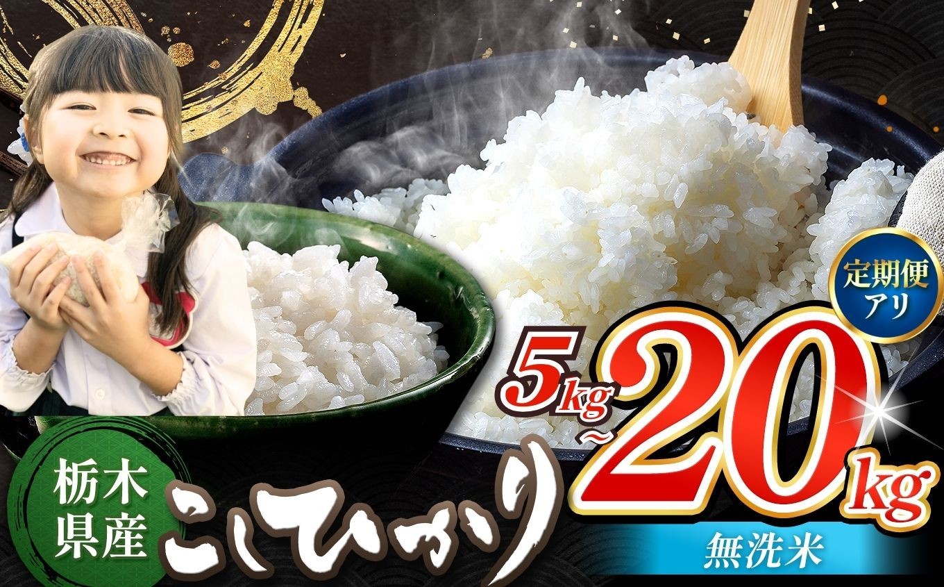 
            お米 こしひかり 無洗米 選べる 定期便 5kg 10kg 20kg 栃木県産｜おすすめ 精米 白米 ごはん ご飯 コシヒカリ 美味しい シャリ ふっくら おにぎり おむすび 米 こめ お米 おこめ お弁当 おいしい お取り寄せ グルメ 国産 真岡市 栃木県 限定 送料無料
          