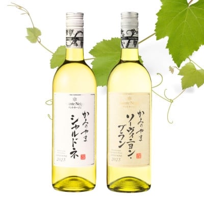 
                  サントネージュワインが贈るシャルドネ/ソーヴィニヨンブラン白 計2本セット【1613583】
                