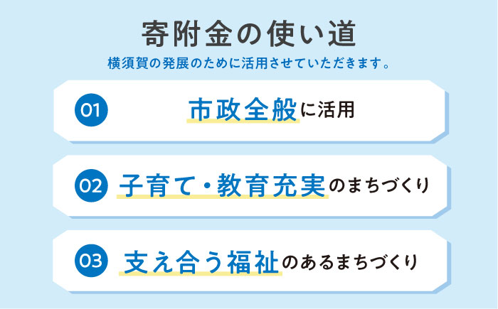 【応援寄附金】神奈川県横須賀市 返礼品なしのご寄附（100,000円）【横須賀市】 [AKZZ035]