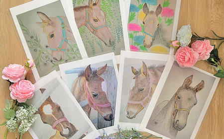 馬のまち栗東　馬と花のステーショナリーセットA / 切手 ポストカード メモ帳 クリアファイル 雑貨 / 栗東市 / nashira (nashira picture of horse)[BIBN00