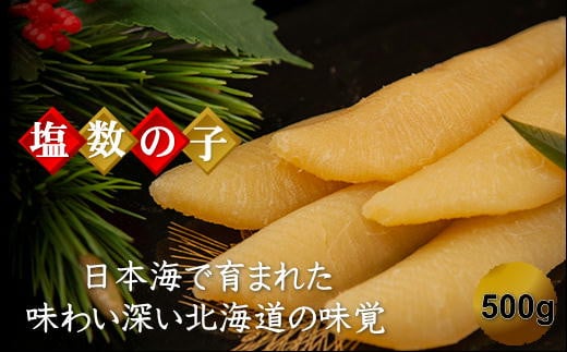 7-016-005　北海道産塩数の子 500g（10本～14本入）【10月～発送】