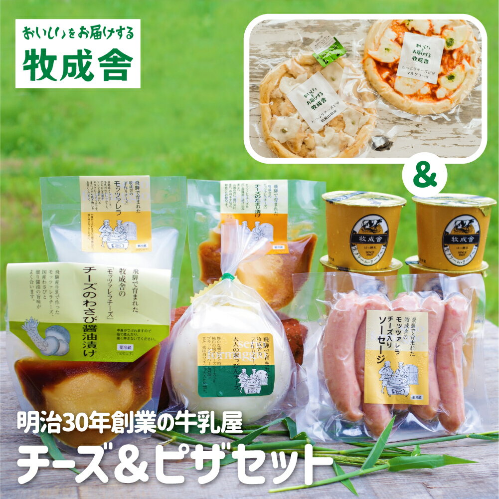 【ふるさと納税】【2週間以内に発送】＜牧成舎＞飛騨のナチュラルチーズ＆チーズたっぷりピザ＆ヨーグルトセット[Q1643]