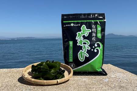 CH030 有明海産島原わかめ　280g×2 [ 長崎県 島原市 ]