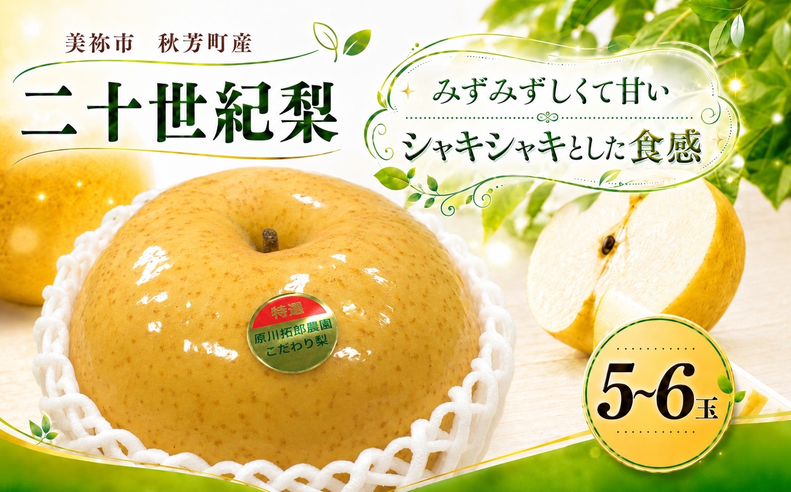 
                   美祢市 秋芳町産 二十世紀梨 5 ～ 6玉 ( 約2.5kg以上 )  先行予約〈 2026年9月上旬〜9月下旬頃 発送予定〉｜ 二十世紀 なし 梨 フルーツ 大きい BIG サイズ 特産品 美祢市 美祢 山口県 山口 秋芳町 秋芳 カルスト台地 先行予約
                