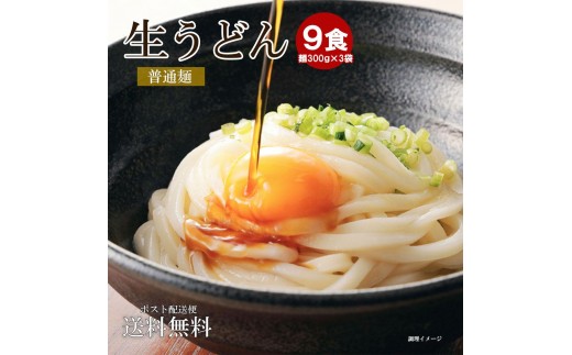 
            生うどん 麺のみ 9食（300g×3袋）普通麺｜うどん 生麺
          