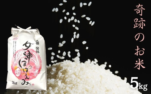 豊橋生まれの奇跡のお米「女神のほほえみ」精米 5kg 国産 お米 おこめ 米 令和7年産 新米 5キロ ブランド 美味しい 甘い おススメ 人気 高級 希少 ※ 精米 白米 ブランド米 大粒 愛知県 