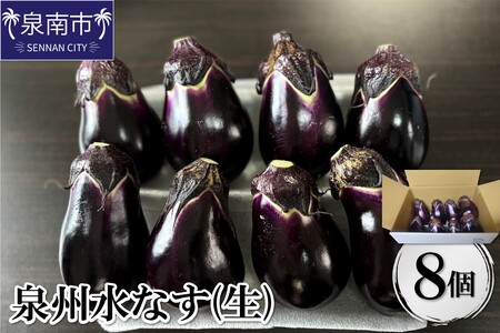 泉州水なす（生）8個入り【配送不可地域：北海道・沖縄・離島】【114E-001】