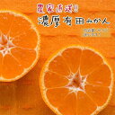 【ふるさと納税】農家直送！濃厚有田みかん【先行予約】 | みかん 蜜柑 柑橘 和歌山 果物 先行予約 和歌山県産 フルーツ 農家直送 濃厚 有田 有田川町 ふるさと納税 返礼品 故郷納税 5kg 10kg