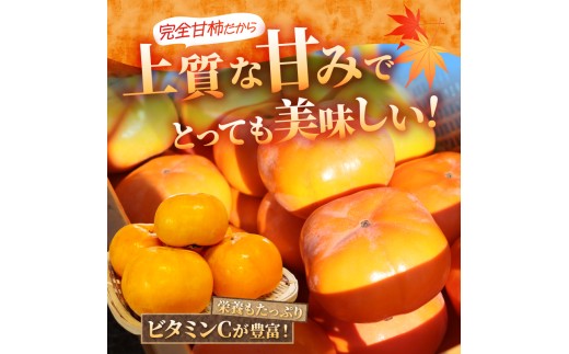【先行予約】2026年度発送 玉城町産玉城次郎柿 訳あり品 約10kg 【 訳あり 柿 早生次郎柿 フルーツ 果物 甘柿 2026年10月下旬～11月下旬発送 】