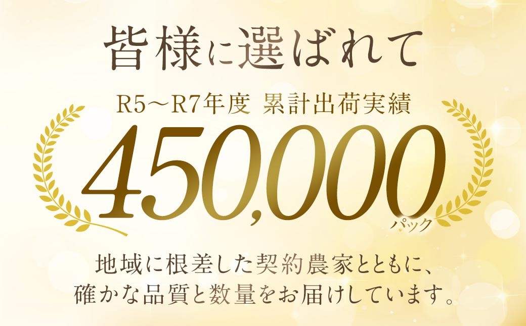 【2027年2月上旬-4月下旬発送予定】あまおう（グランデ等級以上）約250×4P