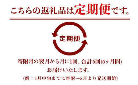 【6ヶ月定期便】【九州米・食味コンクール最優秀賞受賞】令和5年産 大分県中津産やまくに誉 つや姫 5kg×2袋 (毎月1回)   お米 精米 白米 九州産 熨斗対応可 お米 おいしい米 高評価米 中津