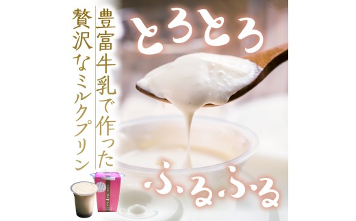 【配送時期指定なし】湯あがり温泉プリン 6種類 各120g×2個 計12個