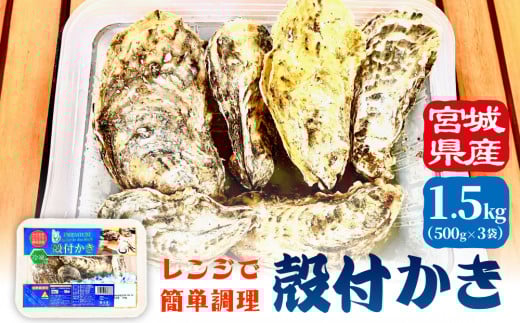 レンジで簡単調理 殻付きかき 500g 3P 冷凍 宮城県産 殻付き 簡単調理 BBQ 牡蠣 カキ 加熱用 蒸し牡蠣 焼き牡蠣 三陸 海鮮 魚介 海鮮物 BBQ バーベキュー キャンプ お取り寄せ レンチン 時短調理 宮城県 石巻市