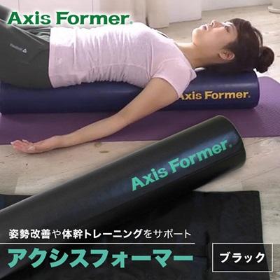 ふるさと納税 枚方市 アクシスフォーマー ロングポール (ブラック)