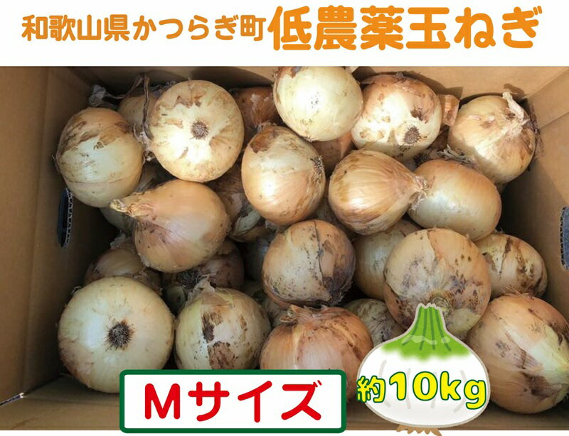 【ふるさと納税】 【2026年発送分・先行予約】農家さん直送　低農薬玉ねぎMサイズ　約10kg【2026年4月中旬～7月中旬発送予定】