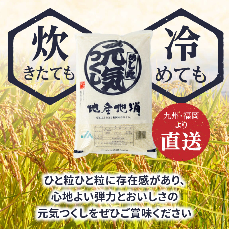 九州・福岡からお届け！ブランド米「元気つくし」 10kg(5㎏×2)  お米 米 コメ 白米 特A 直送 お弁当 おにぎり 炊きたて ツヤ 粘り もちもち 弾力 卵かけご飯 福岡県 八女市