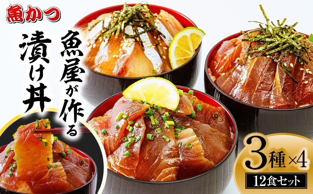 
            漬け丼 3種×4パック 計12食セット【漬け丼 海鮮 惣菜 冷凍 真空パック 小分け 海鮮丼 海鮮セット 詰め合わせ 旬の鮮魚 ハマチ カンパチ カツオ 鯖 サバ ヒラマサ 平政 マグロ アジ ヒラメ 鯛 漬け づけ丼 お茶漬け ごはん 山口県 宇部市】
          