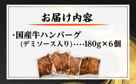 国産牛ハンバーグセット