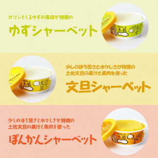 TKA015　おいしいんだもの 高知アイスセット／高知の素材にこだわった人気アイスのアソートセットです。故郷納税 11000円 2022 食べ物 ギフト 詰め合わせ シャーベット スイーツ お菓子 プ