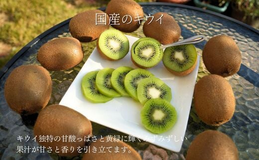 画像はイメージです。返礼品以外のものは含まれません。