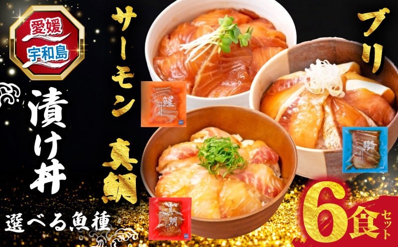 
            海鮮丼 漬け丼 選べる 魚種 鯛 ブリ サーモン 6食 南予ビージョイ 真鯛 マダイ タイ tai 鰤 ぶり buri サーモン SALMON 刺身 お刺身 刺し身 漬け 漬丼 丼 丼ぶり 鯛飯 海鮮 人気 海の幸 魚介 人気加工品 冷凍 小分け パック お手軽 便利 愛媛 宇和島
          