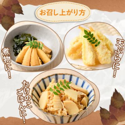 ふるさと納税 阿久根市 訳あり!鹿児島県産 早掘りたけのこ 約3kg 【松永青果】akn053-34 |  | 02