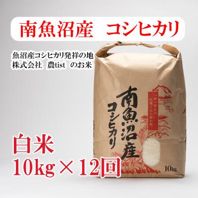 ふるさと納税 南魚沼市 【毎月定期便】南魚沼産 コシヒカリ 白米10kg全12回