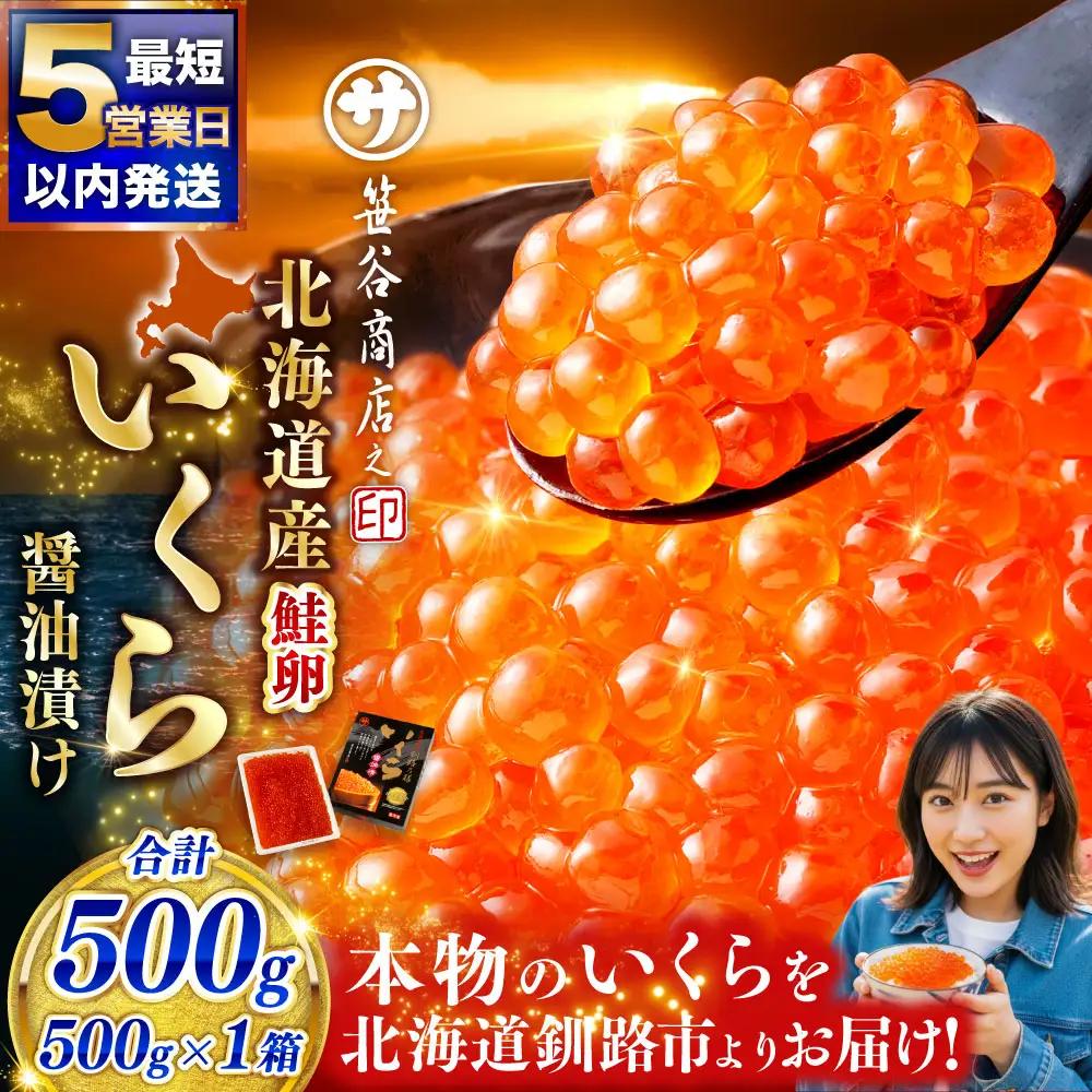 【5営業日以内発送】新物 北海道産 いくら醤油漬け500g×1箱 いくら 小分け イクラ 北海道 鮭いくら 鮭 