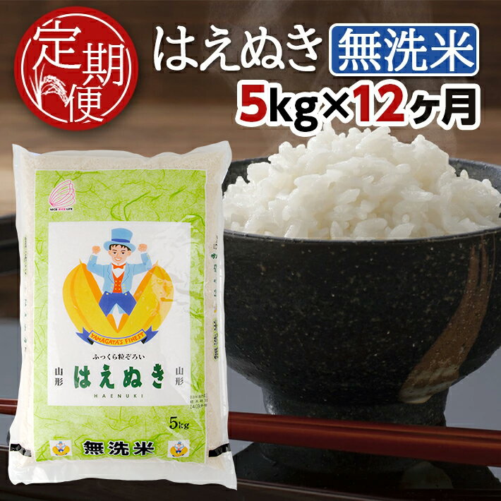 【ふるさと納税】≪12ヶ月定期便≫ 無洗米 はえぬき 5kg×12ヶ月連続 合計60kg 山形県産 毎月下旬にお届け 酒田市 お米 精米 白米 ブランド米 連続定期便 簡単 手軽 東北食糧 BG無洗米 HACCP