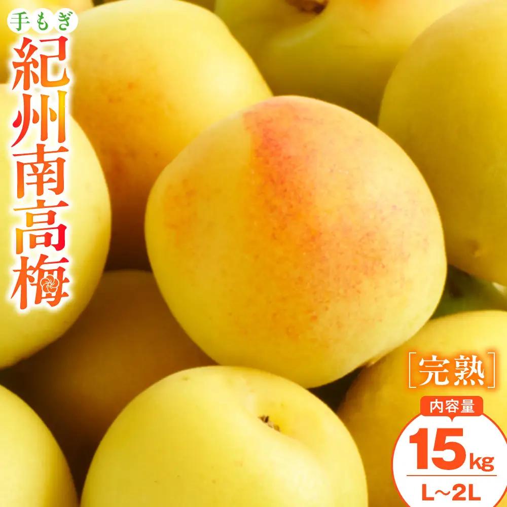 手もぎ 完熟南高梅 15kg L～2Lサイズ 谷本農園