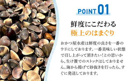 ＜先行受付/2026年5月より配送＞【千葉県ブランド認定】天然活はまぐり（小玉）《1.5㎏》／ふるさと納税 はまぐり ハマグリ 蛤 貝類 魚介 海鮮 お吸い物 パスタ パエリア お歳暮 贈答 お祝い 