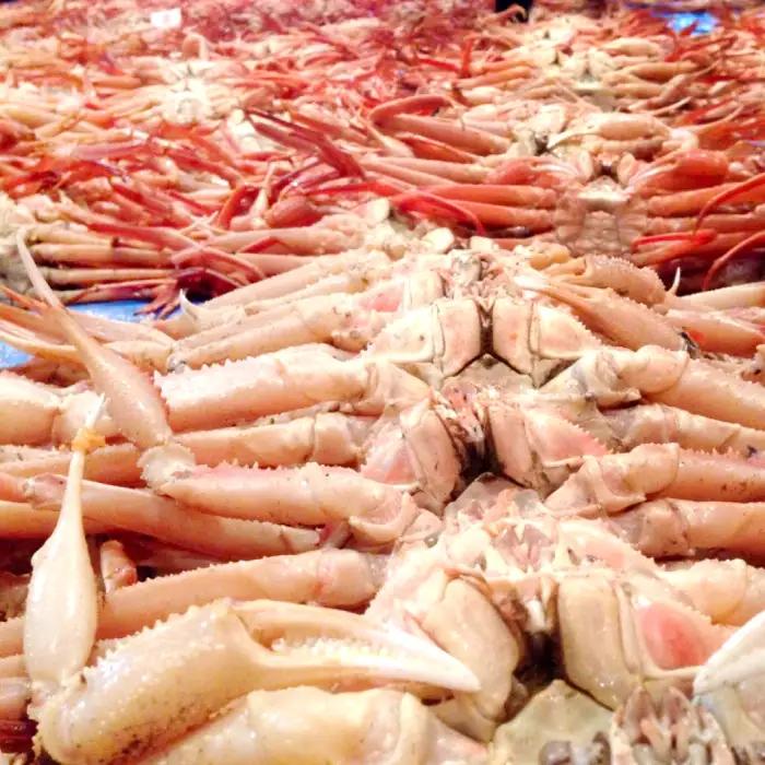 鳥取県産 訳あり蒸し松葉ガニ 700g以上2枚【松葉蟹 松葉ガニ カニ かに 蒸しガニ 訳あり 早期受付 季節限定 カニしゃぶ 山陰 鳥取県 境港産】