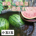 【ふるさと納税】【新潟県 南魚沼産】八色原スイカ小玉2玉 | フルーツ 果物 くだもの 食品 人気 おすすめ 送料無料