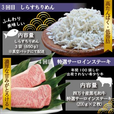 ふるさと納税 四万十市 【7ヵ月連続】四万十市人気魚介&お肉返礼品【定期便】R6 |  | 03