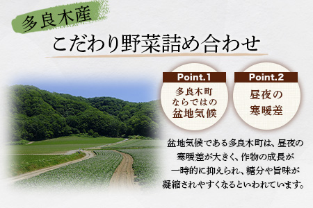 熊本の大地の恵み 旬の こだわり野菜詰め合わせセット 8〜12品 （3〜4名様向け）野菜 獲れたて 新鮮 野菜 セット 詰め合わせ 詰合せ 産地 直送 国産 季節 野菜 家族 ファミリー 多良木町 0