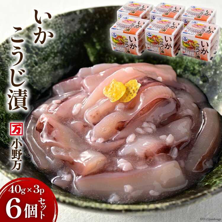 【ふるさと納税】いかこうじ漬 40g×3P 6個セット [小野万 宮城県 気仙沼市 20564599] 魚 魚介類 いか イカ 冷蔵 酒の肴 おつまみ ご飯のお供 珍味 麹漬け こうじ漬け