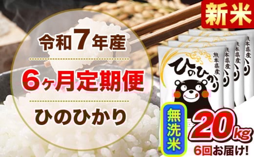 新米 令和7年産 【6ヵ月定期便】 無洗米 ひのひかり 定期便 20kg 5kg×4袋《お申込み翌月から出荷》 熊本県産 精米 ひの 米 こめ ヒノヒカリ コメ お米