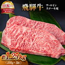 【ふるさと納税】 飛騨牛 A4等級 以上 サーロイン ステーキ 用 5枚 ( 計1.25kg )【肉の丸長】 和牛 ブランド牛 国産 多治見市/肉の丸長 [TAZ002]