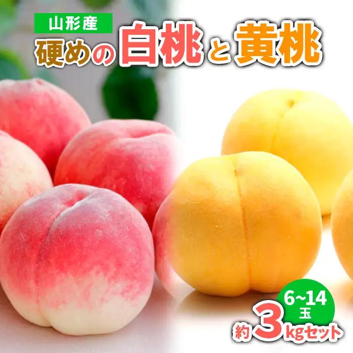 山形産 硬めの白桃と黄桃　約３kgセット（6～14玉)　秀品  【令和8年産先行予約】FS23-779 くだもの 果物 フルーツ 山形 山形県 山形市 2026年産